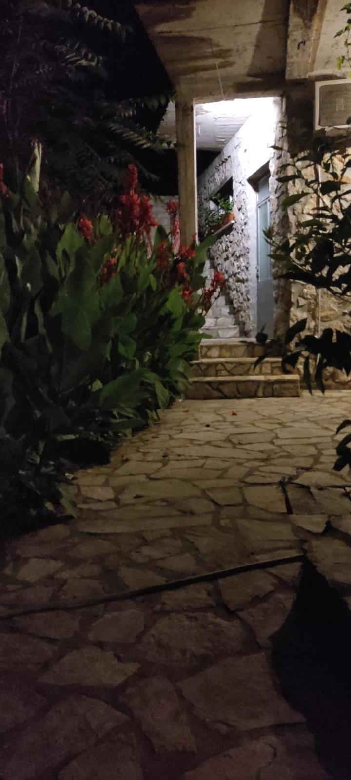 Vesna'S Dream Daire Budva Dış mekan fotoğraf